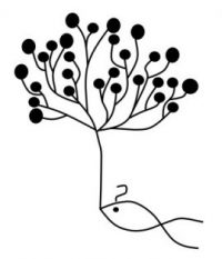 Fish tree